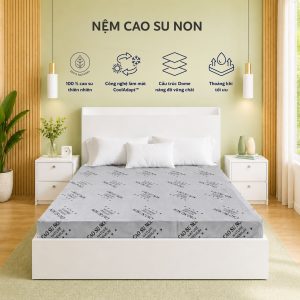 Nệm Cao Su Non Cao Cấp – Êm Ái, Thoáng Khí, Nâng Niu Giấc Ngủ