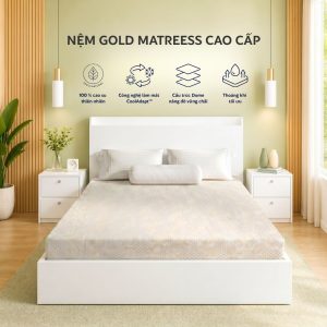 Nệm Gold Mattress Cao Cấp – Êm Ái Chuẩn Chất Lượng, Nâng Niu Giấc Ngủ