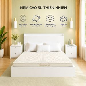 Nệm Cao Su Thiên Nhiên – Đàn Hồi Êm Ái, Bền Đẹp Theo Thời Gian