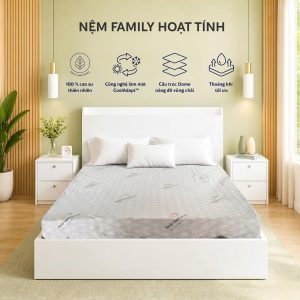 Nệm Family Hoạt Tính – Êm Ái Tối Ưu, Cho Giấc Ngủ Trọn Vẹn